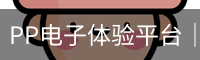 PP电子